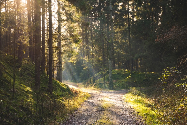 Weekend in de Limburgse natuur